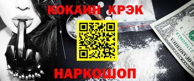 крисы Гатчина