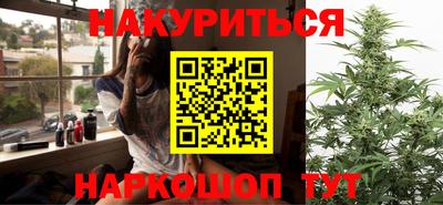 крисы Гатчина