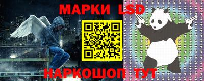 крисы Гатчина