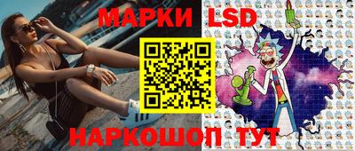 крисы Гатчина