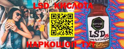 крисы Гатчина