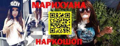 крисы Гатчина