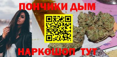 крисы Гатчина