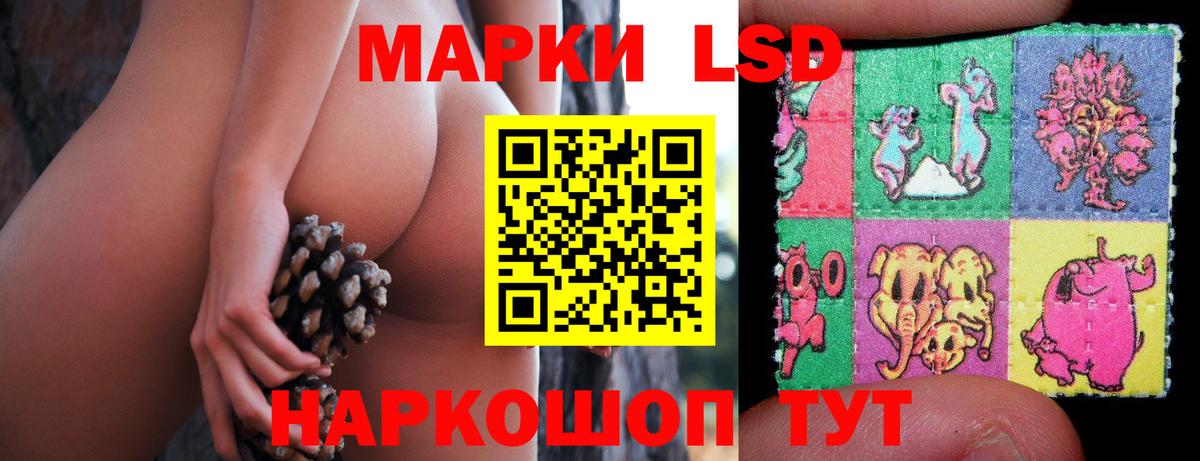LSD-25 экстази ecstasy  kraken как зайти  Петрозаводск  Вход с VPN 