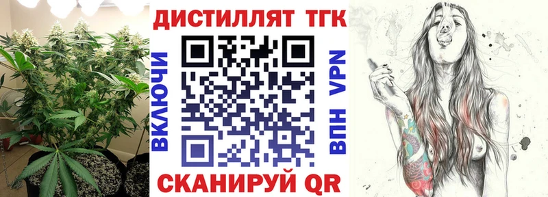 закладки  Петрозаводск  ТГК Wax 