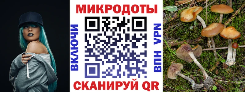 Псилоцибиновые грибы GOLDEN TEACHER  Петрозаводск 
