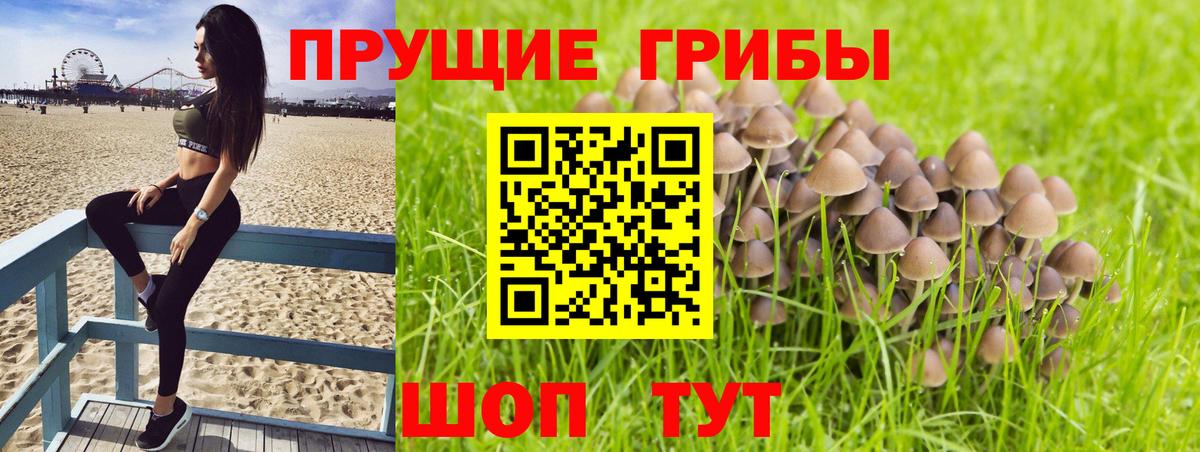 Галлюциногенные грибы GOLDEN TEACHER Петрозаводск